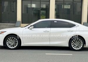 Xe Lexus ES 250 2022