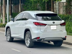 Xe Lexus RX 300 2021