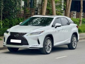 Xe Lexus RX 300 2021