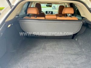 Xe Lexus RX 300 2021