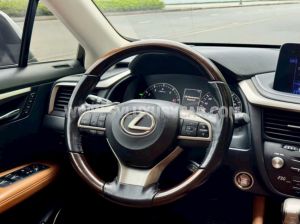 Xe Lexus RX 300 2021