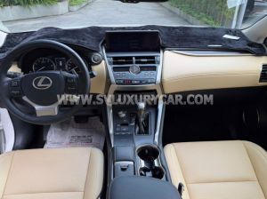 Xe Lexus NX 300 2019