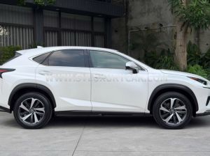 Xe Lexus NX 300 2019