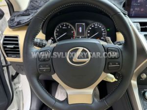 Xe Lexus NX 300 2019