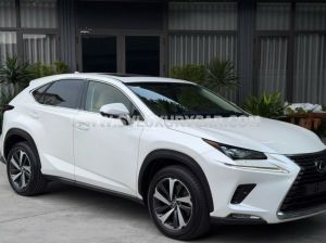 Xe Lexus NX 300 2019