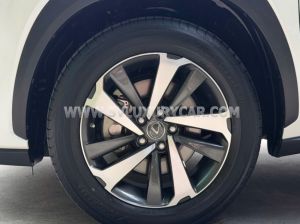 Xe Lexus NX 300 2019
