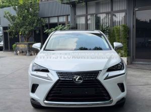 Xe Lexus NX 300 2019