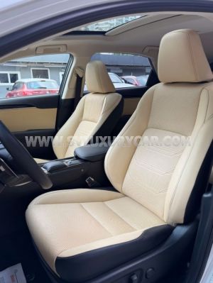 Xe Lexus NX 300 2019